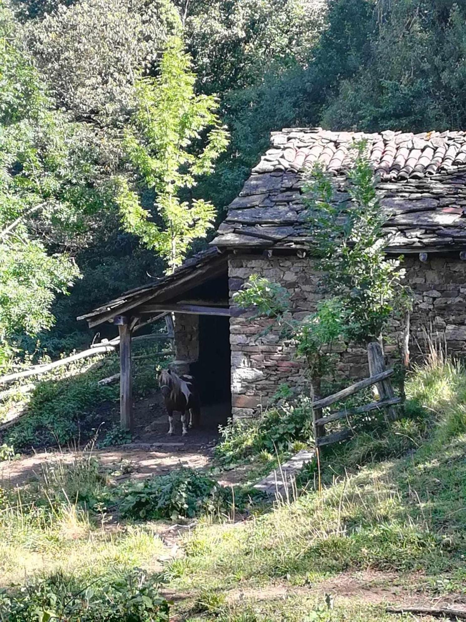 Encanto Asturiano Альер Экстерьер фото