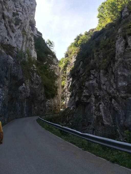 Encanto Asturiano Альер Экстерьер фото